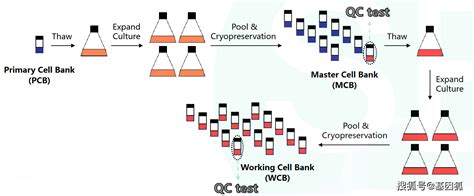RCB/MCB/WCB 차이점 좀 알려주세요 .